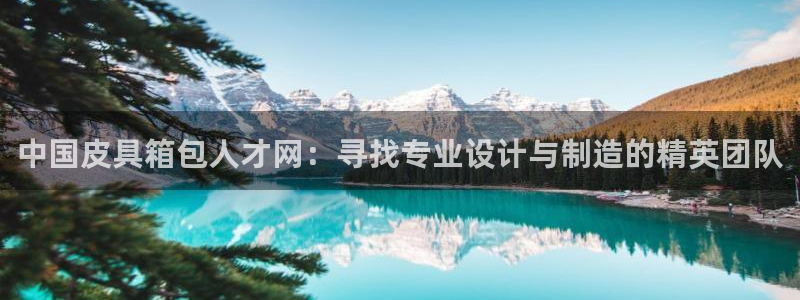 卧龙娱乐是什么意思