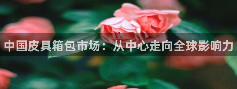 卧龙娱乐彩票中奖