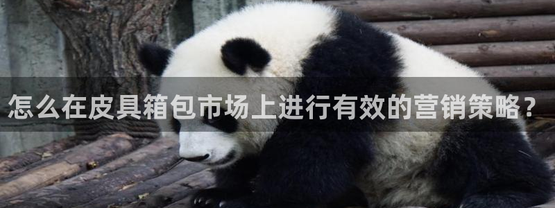 悉尼卧龙岗娱乐