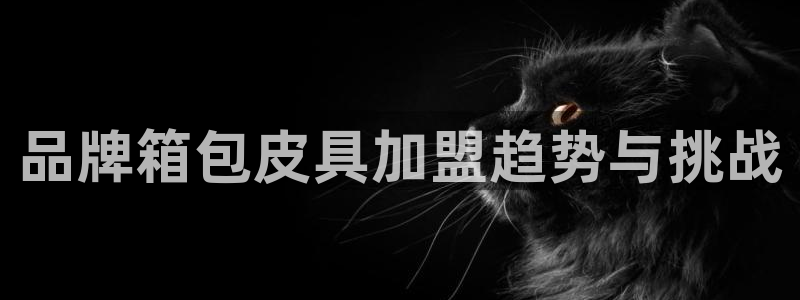 pt娱乐 卧龙招商60447