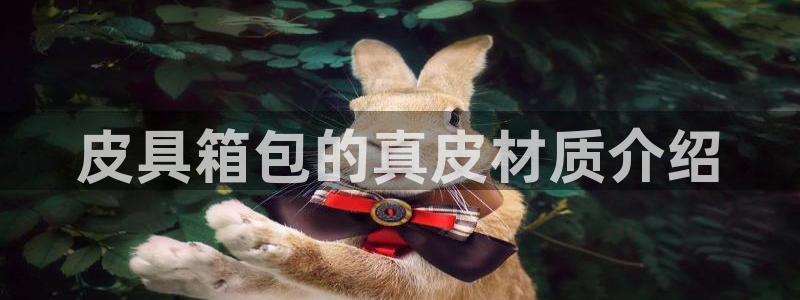 wow卧龙娱乐集团