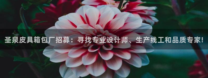 卧龙娱乐招商主管